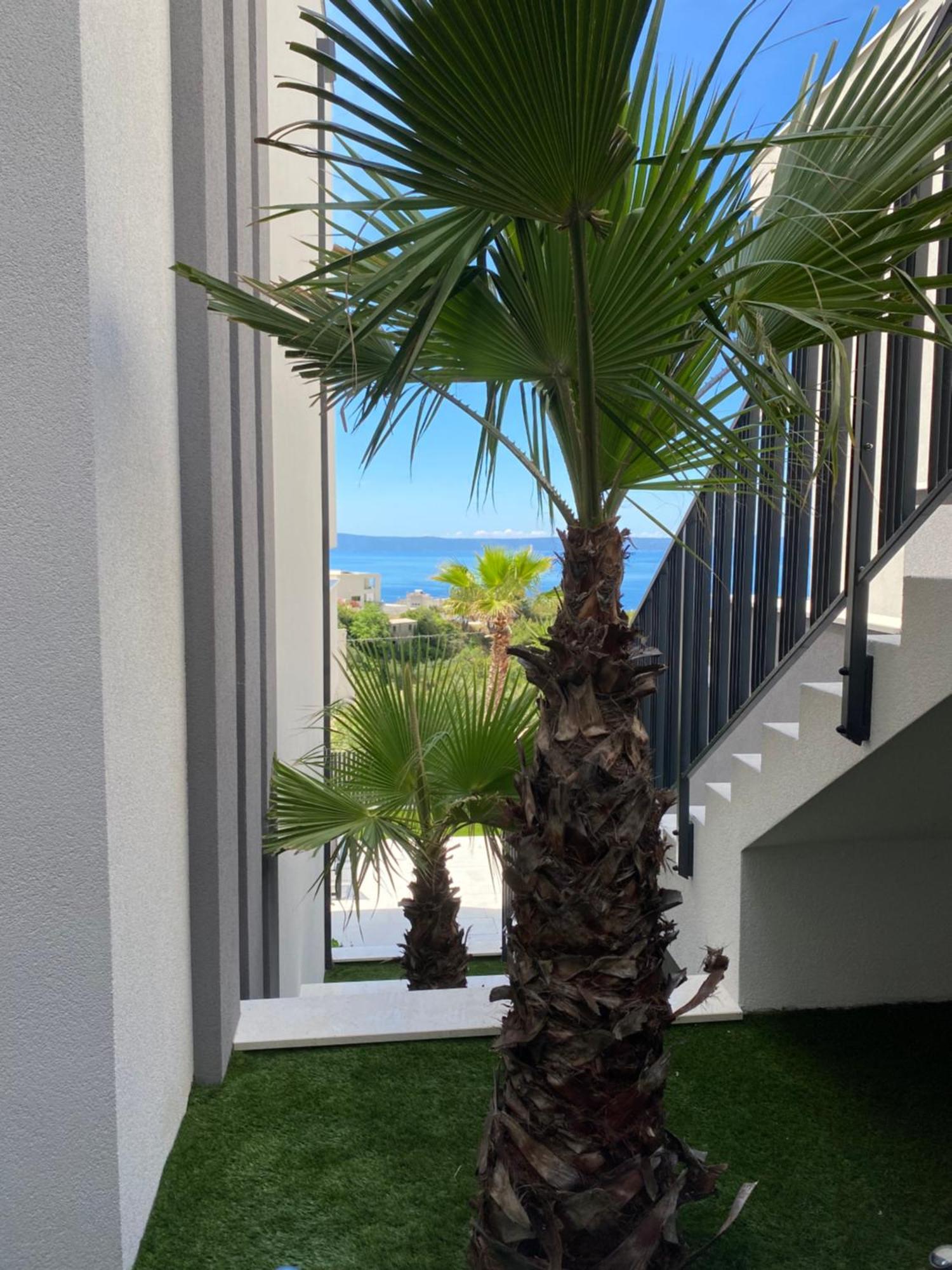 Villa 5 Makarska Exterior foto